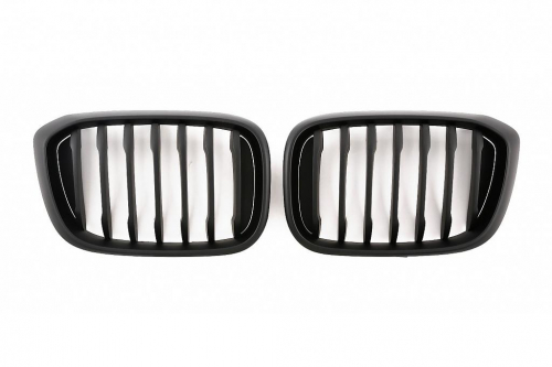 Maska-ledvinky pro BMW X3 G01 - černá