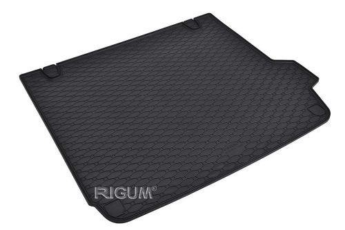 RIGUM gumová vana do kufru BMW X4 (G02)
