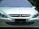 Chrom lišta masky Peugeot 307