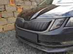 Zimní clona přední masky Škoda Octavia III facelift - dezén