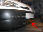 Zimní clona Citroen Berlingo