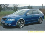 Lemy blatníků Škoda Octavia
