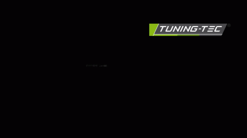 Zadní LED světla s dynamickým blinkrem pro Dodge Charger LD